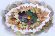 autumnaleye.jpg