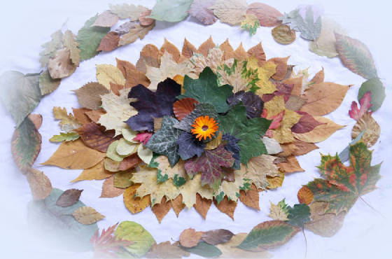 autumnaleye.jpg