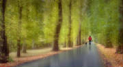 awalkintheparkweb.jpg