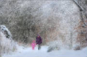 awalkinthesnowweb.jpg