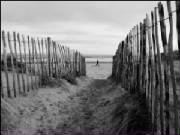 beachwalkerweb.jpg