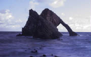 bowfiddlerockweb.jpg