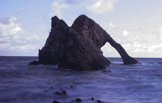 bowfiddlerockweb.jpg