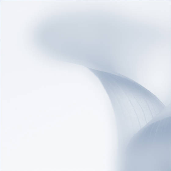 calaabstractinblueweb.jpg