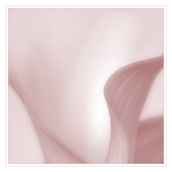 calsabstractinpinkweb.jpg