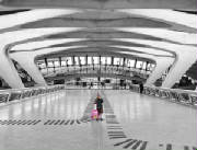 ealonelyonairportweb.jpg