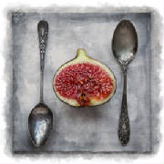 figandspoonsweb.jpg