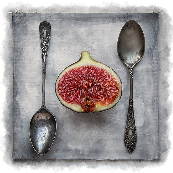 figandspoonsweb.jpg