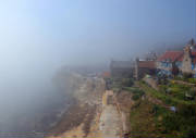 haarincrailweb.jpg