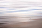 solitarywalkweb.jpg