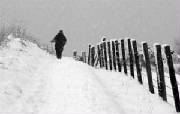 walkinginthesnowweb.jpg