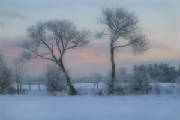 winterpatternweb.jpg
