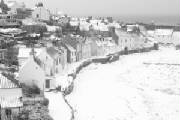 winterwonderlandpittenweem.jpg