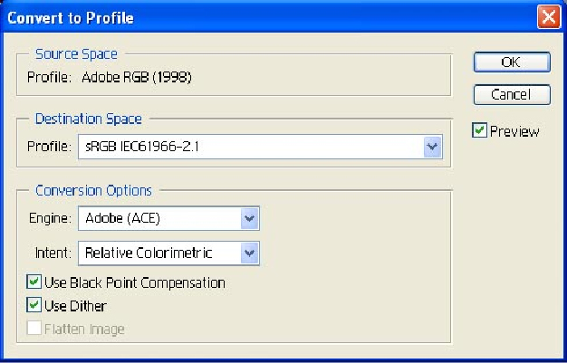 converttoprofilev1.jpg