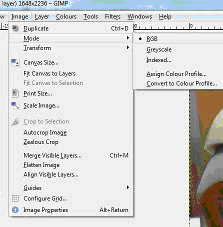 gimp1web.jpg