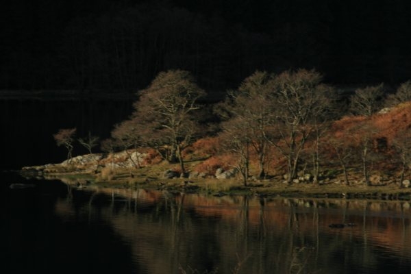 lochchonis.jpg