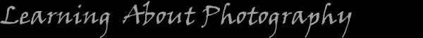 newtitlelearning.jpg