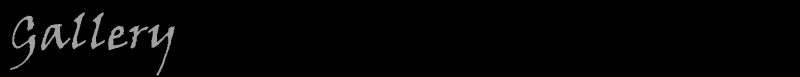 titlegallery.jpg